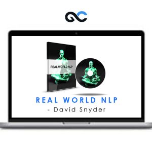 David Snyder – Real World NLP