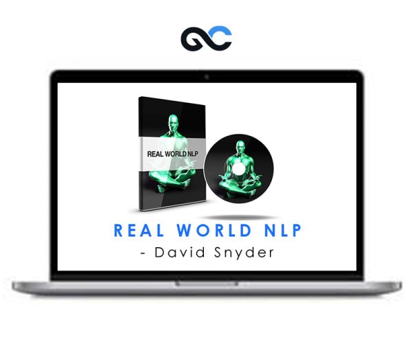 David Snyder – Real World NLP