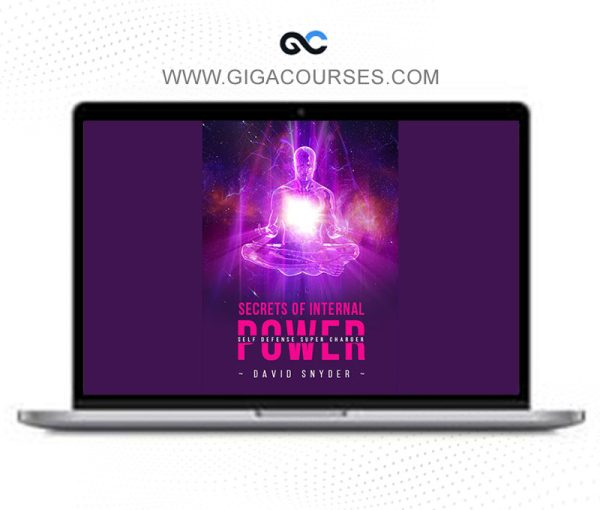 David Snyder – Secrets of Internal Power – Self Defense Supercharge