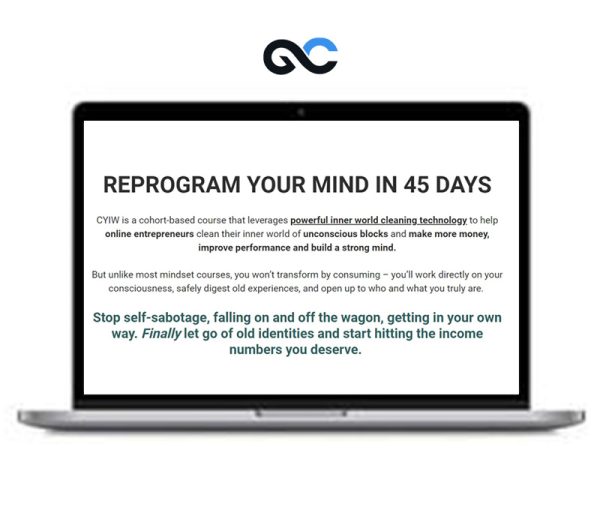Tej Dosa – Clean your inner world- REPROGRAM YOUR MIND IN 45 DAYS